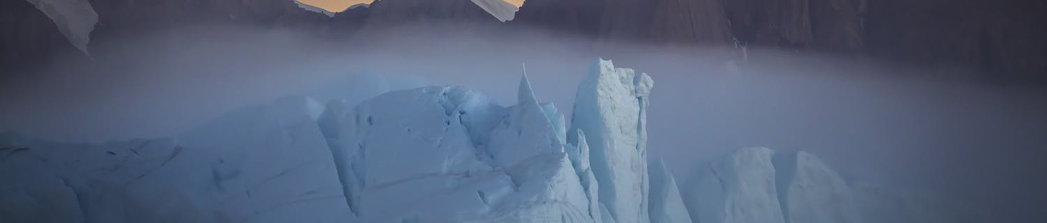 3 tpoty 2020 win3 valekseev e2p667jaeuwwbyq3 0m5pg Hvid ræv fotograferet i sneen